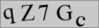 Sicherheitscode