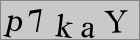 Sicherheitscode