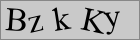 Sicherheitscode