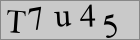 Sicherheitscode