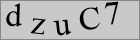 Sicherheitscode