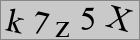 Sicherheitscode