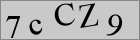 Sicherheitscode