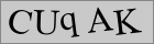 Sicherheitscode