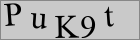 Sicherheitscode