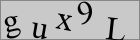 Sicherheitscode