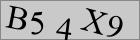 Sicherheitscode