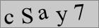 Sicherheitscode